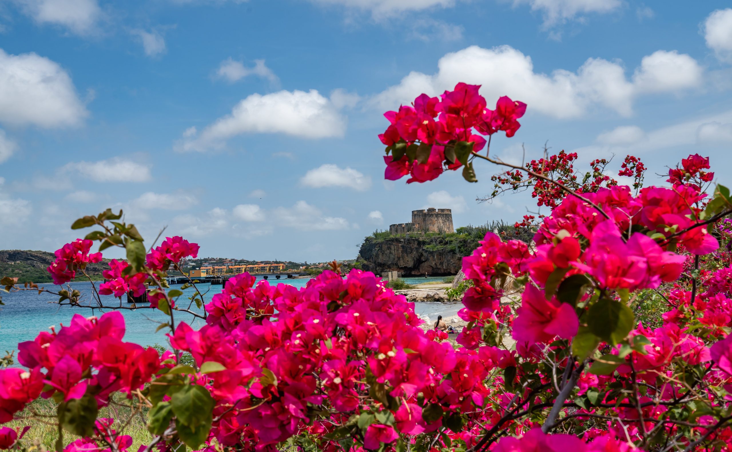 Uitzicht door de planten op het Fort Beekburg in Curaçao